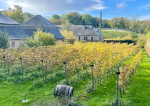 Clos du Bonheur de Villers-la-Vigne