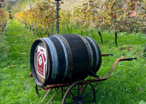 Clos du Bonheur de Villers-la-Vigne