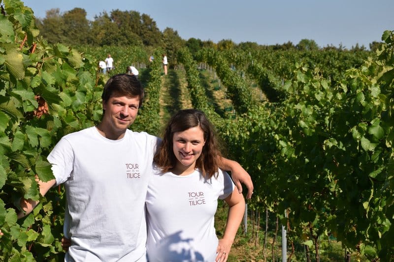 DOMAINE TOUR DE TILICE