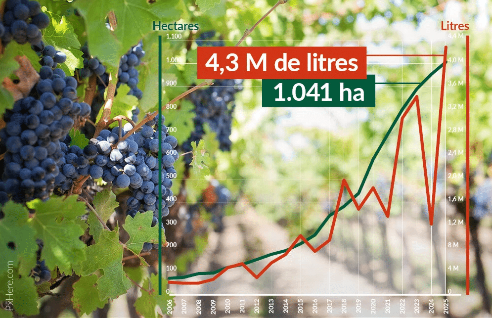 Les chiffres clés 2025