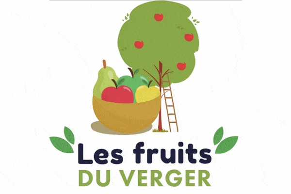 LES FRUITS DU VERGER